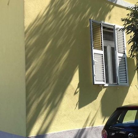 Apartment Jazine Zadar Dış mekan fotoğraf