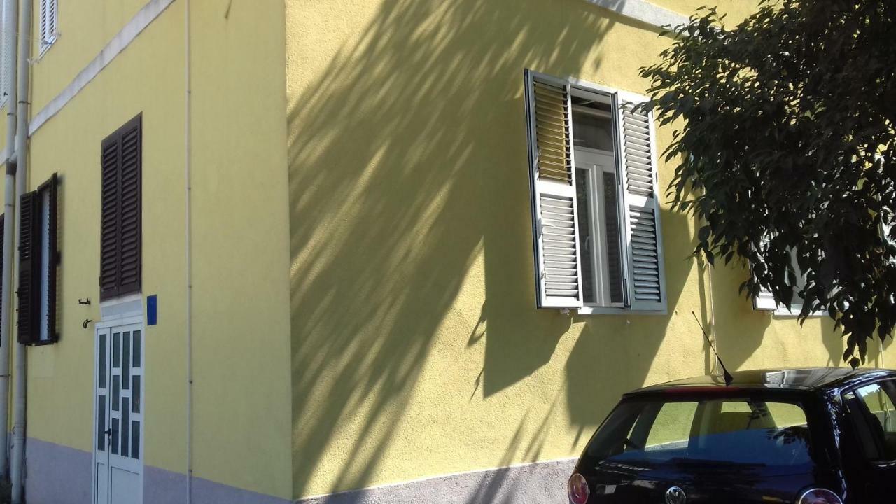 Apartment Jazine Zadar Dış mekan fotoğraf